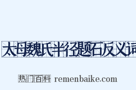 太母魏氏半径题石反义词是什么意思的图片